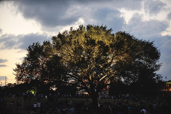 ACL