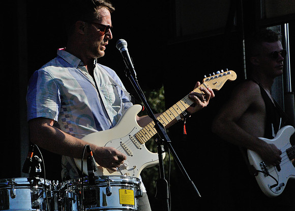 Wild Cub