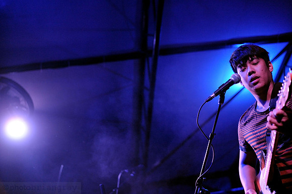 Black Blackbird