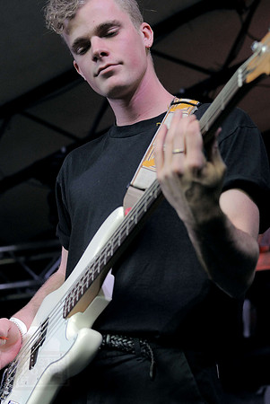 Wild Cub