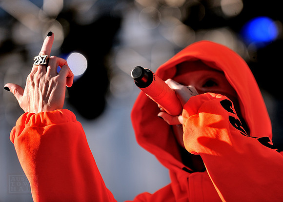 Die Antwoord