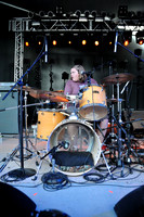 Young Buffalo