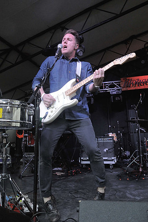 Wild Cub