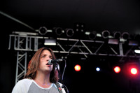 Young Buffalo