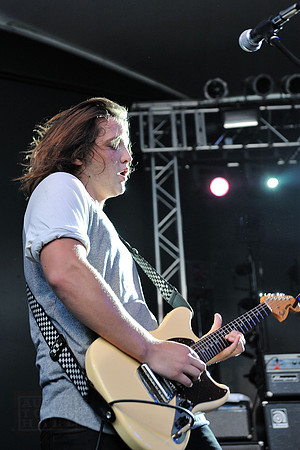 Young Buffalo