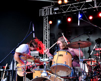 Young Buffalo