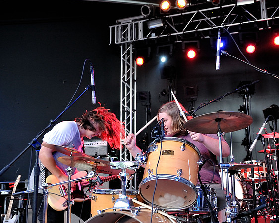 Young Buffalo