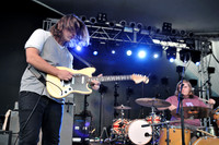 Young Buffalo