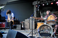 Young Buffalo