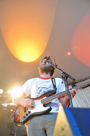 Young Buffalo
