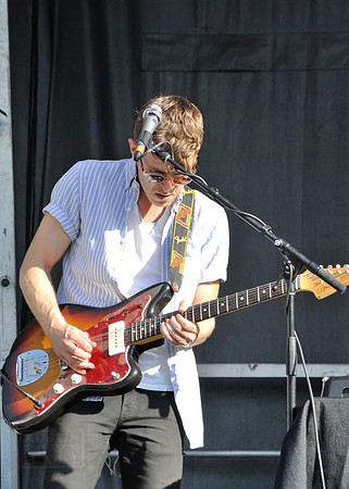 Wild Cub