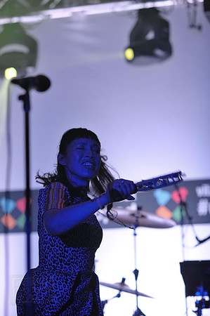 Little Dragon