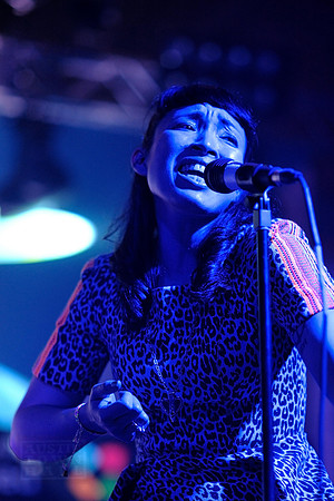 Little Dragon