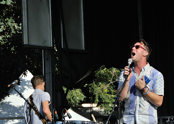 Wild Cub