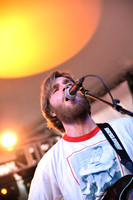 Young Buffalo