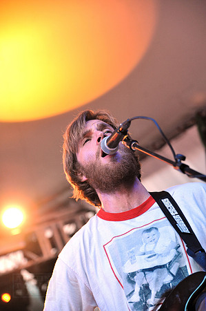 Young Buffalo