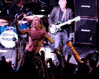 The Stooges