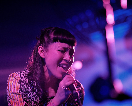 Little Dragon