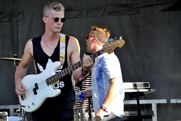 Wild Cub