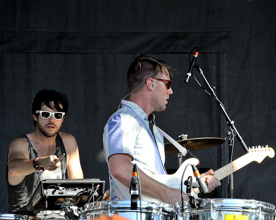 Wild Cub