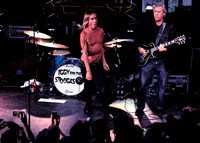 The Stooges