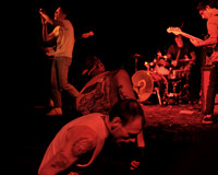 The Creamers