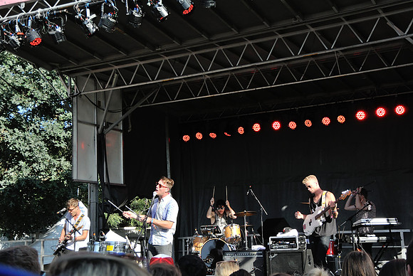 Wild Cub