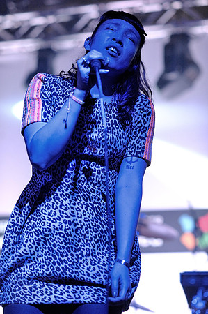 Little Dragon
