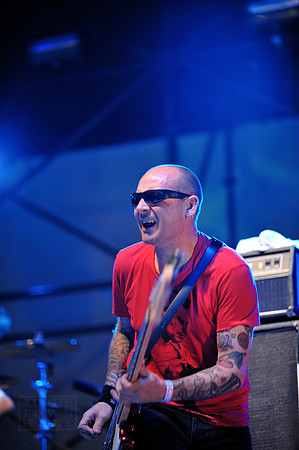 The Damned